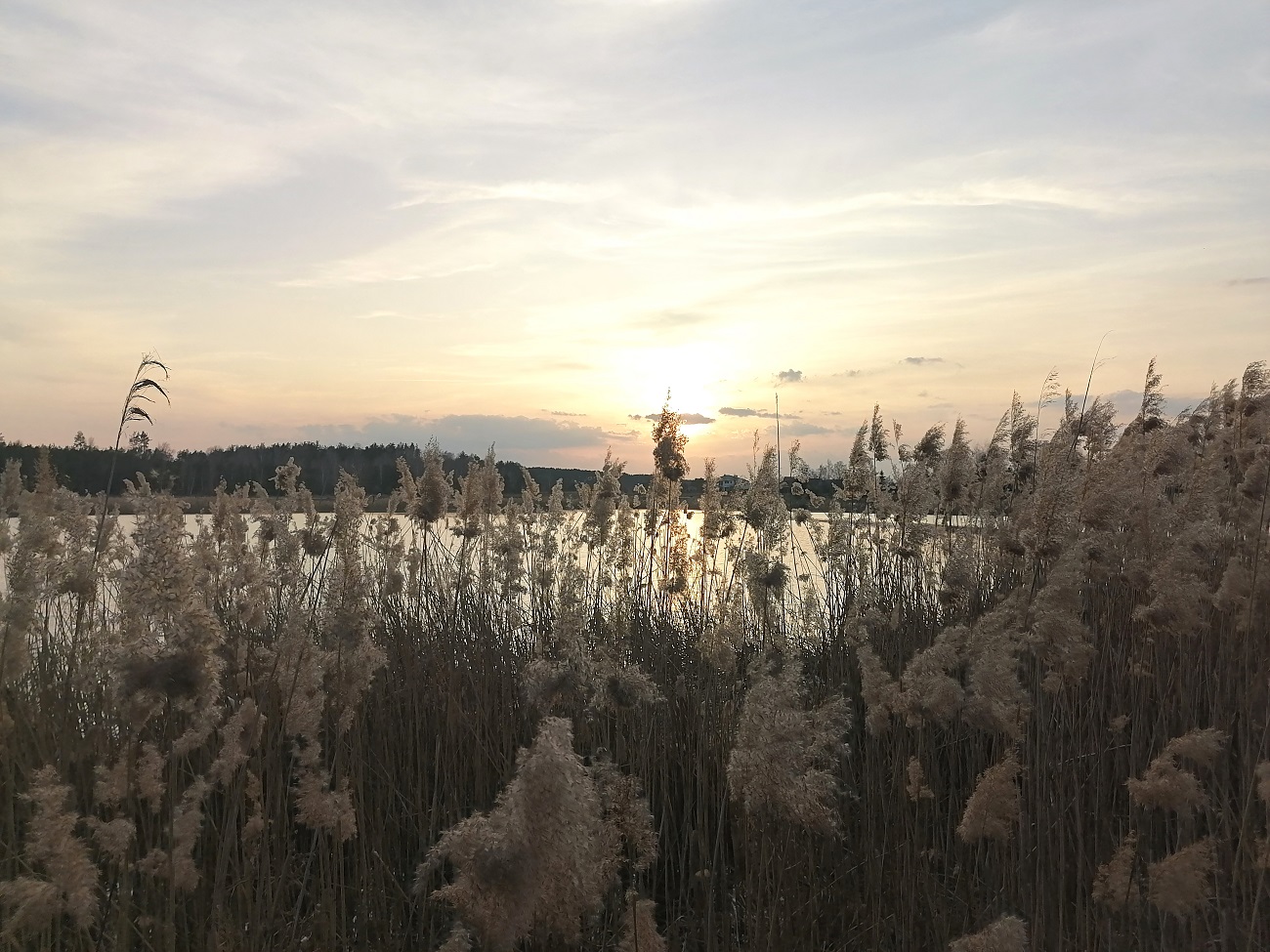 Каскады озер и весенние пейзажи: лучшие локации для пикника рядом с Киевом